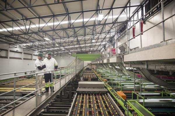 Workers talking in apple factory, sorting machine